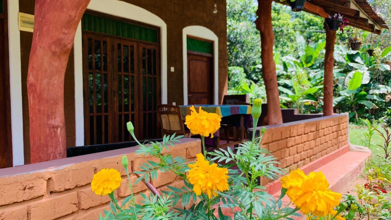 Sigiriya Chena Villa المظهر الخارجي الصورة