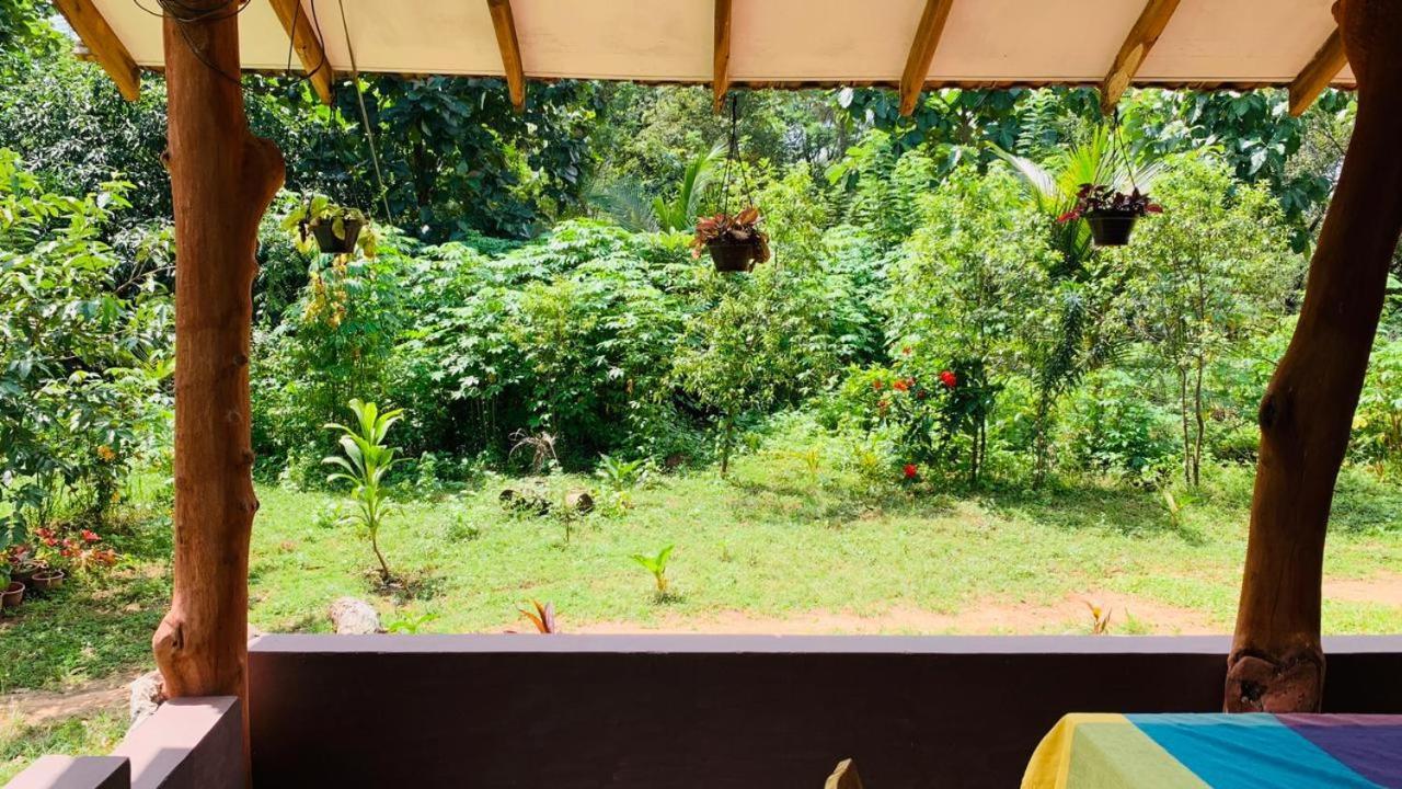 Sigiriya Chena Villa المظهر الخارجي الصورة